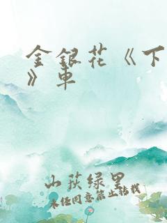 金银花《下厨房》车