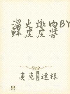 温火炖肉BY海鲜皮皮酱