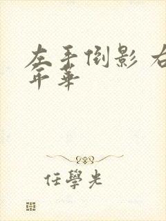 左手倒影 右手年华
