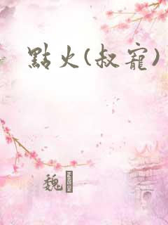 点火(叔宠)