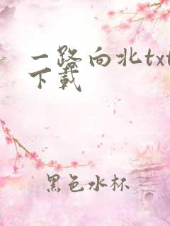 一路向北txt下载