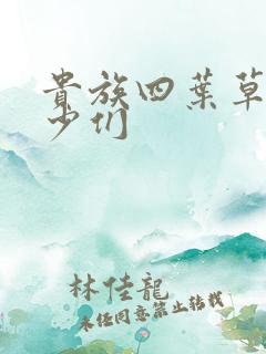 贵族四叶草的恶少们