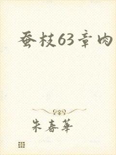 蚕枝63章肉