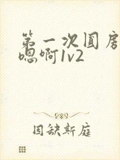 第一次圆房～h嗯啊1v2