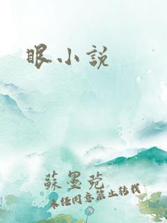 眼小说