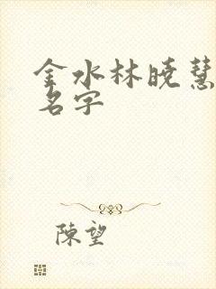 金水林晓慧小说名字