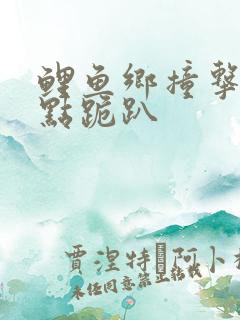 鲤鱼乡撞击敏感点跪趴