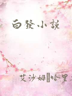 白发小说
