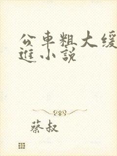 公车粗大缓缓挤进小说