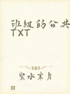 班级的公共玩具TXT