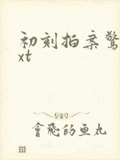 初刻拍案惊奇txt