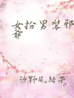 女扮男装邪魅王爷