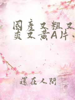 国产又粗又猛又爽又黄A片小说