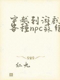 穿越到游戏里和各种npc苏绾