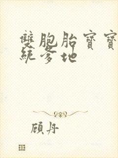 双胞胎宝宝的总统爹地