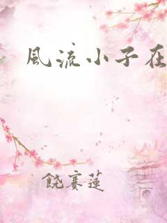 风流小子在异世