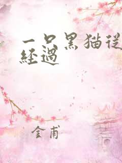一只黑猫从眼前经过