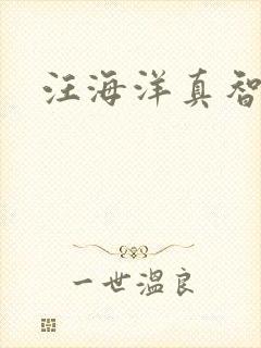 汪海洋真智师太
