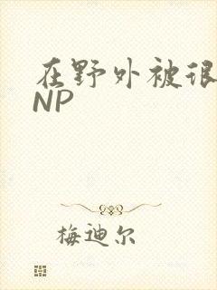 在野外被很多人NP