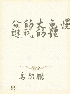 公的大龟慢慢挺进我的体