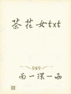 茶花女txt