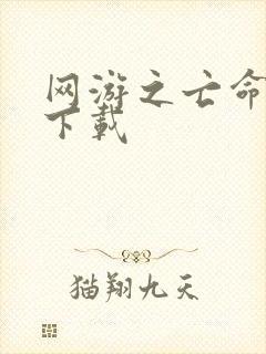 网游之亡命天涯下载