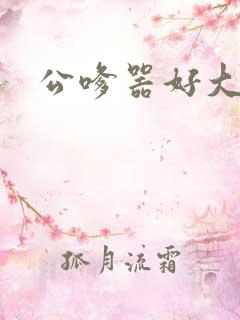 公嗲器好大好H