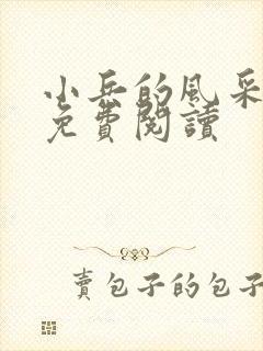 小兵的风采小说免费阅读