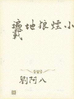 遍地狼烟小说下载