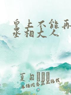 皇上不能再进了丞相大人