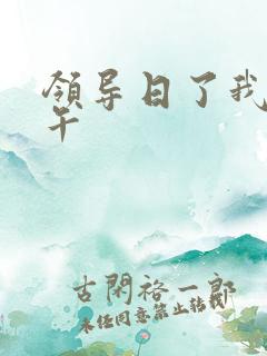 领导日了我一下午