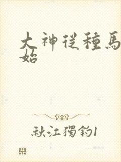 大神从种马文开始