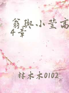 翁与小莹高潮24章