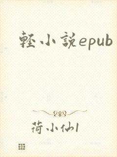 轻小说epub