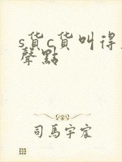 s货c货叫得大声点