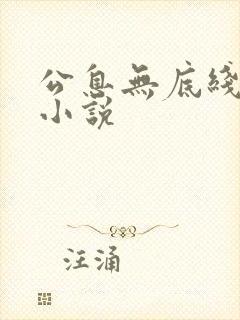 公息无底线的爱小说