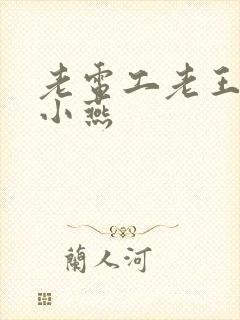 老电工老王和李小燕