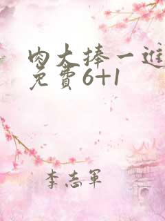 肉大捧一进一出免费6+1