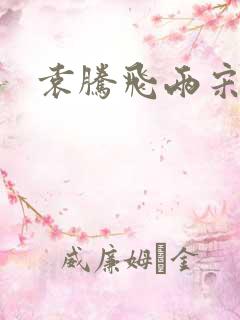 袁腾飞两宋风云