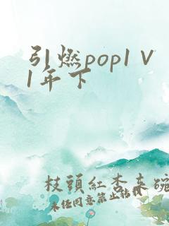 引燃pop1∨1年下