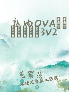 熟肉OVAちゃんはしたい3V2