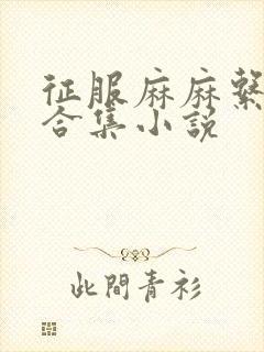 征服麻麻系列大合集小说