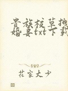 贵族校草拽拽未婚妻txt下载