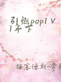 引燃pop1∨1年下