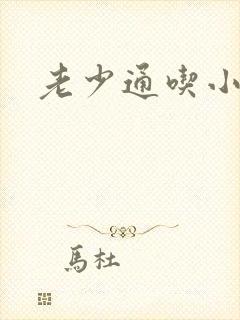 老少通吃小说