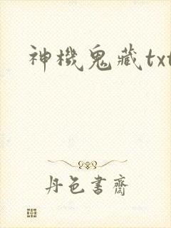 神机鬼藏txt