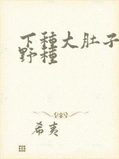 下种大肚子怀孕野种