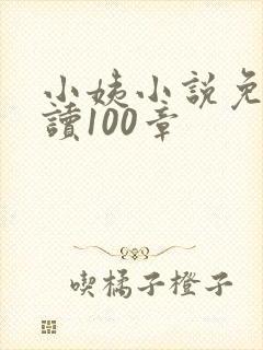 小姨小说免费阅读100章
