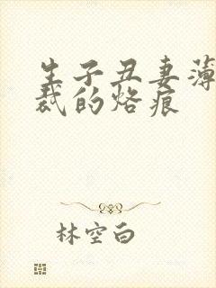 生子丑妻薄情总裁的烙痕
