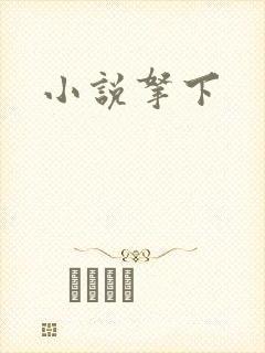 小说拿下